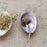 Shell dish with foot 1826