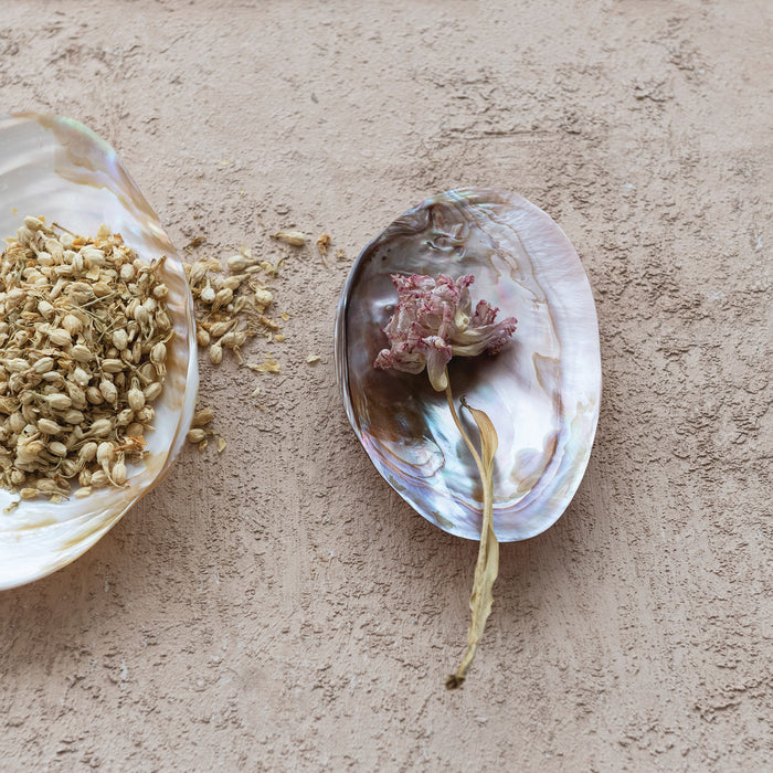 Shell dish with foot 1826