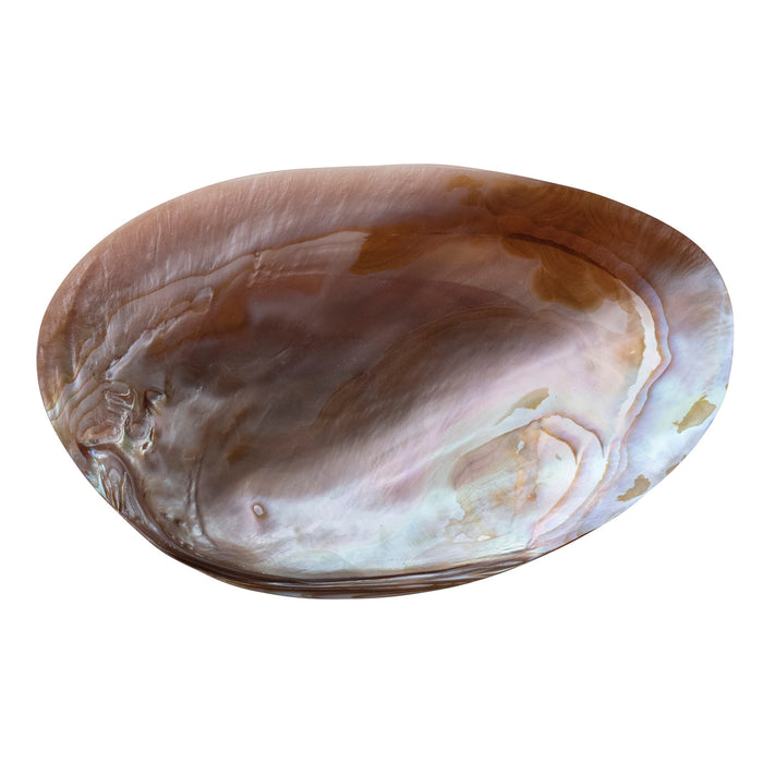 Shell dish with foot 1826