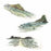 Tofino Chesterman Beach Sticker