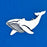 Humpback Whale Wisdom Keeper Coin