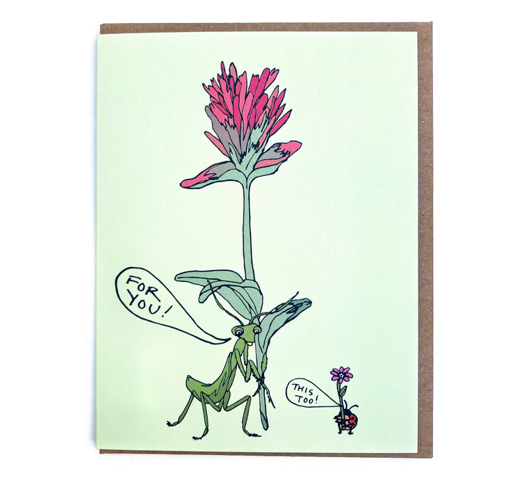 Little Bugs Card - Mantis and Ladybug
