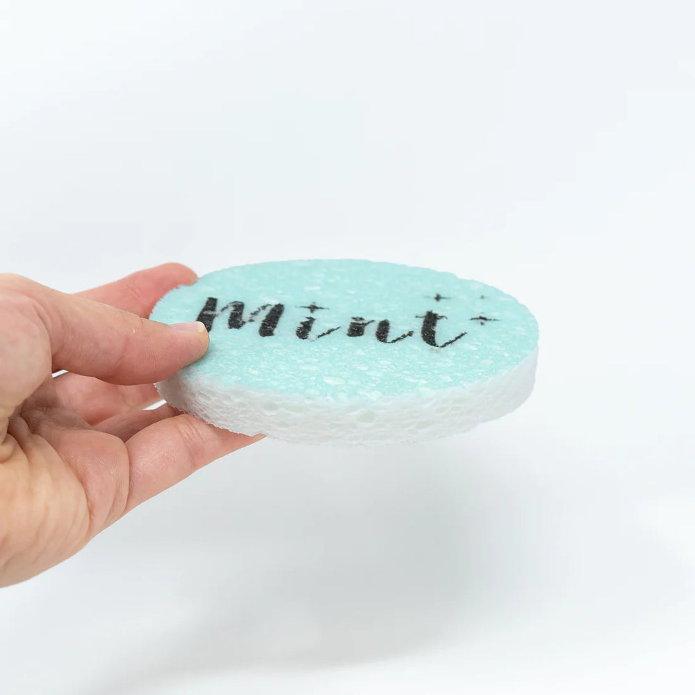 Mint Eco-Sponge