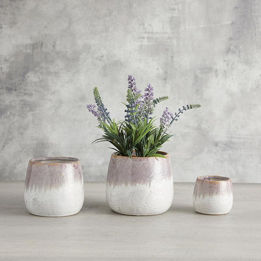 Lavender Pot