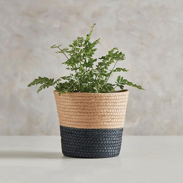 Two Toned Black lined Baskets (Plastic lined)