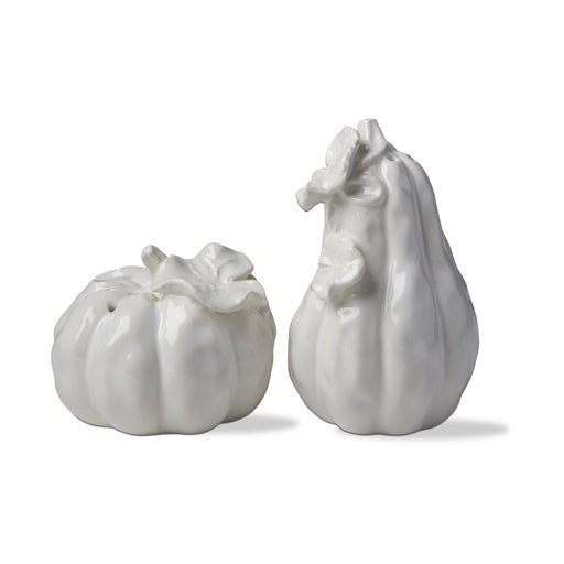 Pumpkin and Gourd Salt and Pepper Set