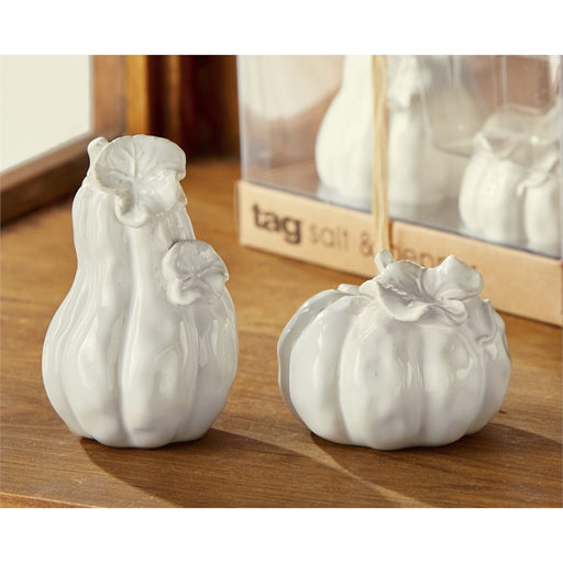 Pumpkin and Gourd Salt and Pepper Set