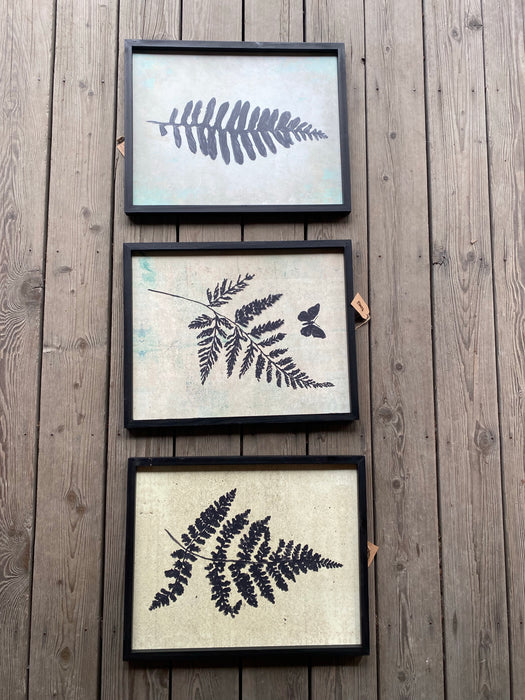 Fern assorted wall signs each sign