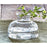 Clear Inkwell vase