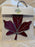 Maple Leaf Stained Glass