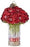 Red amaryllis in vase