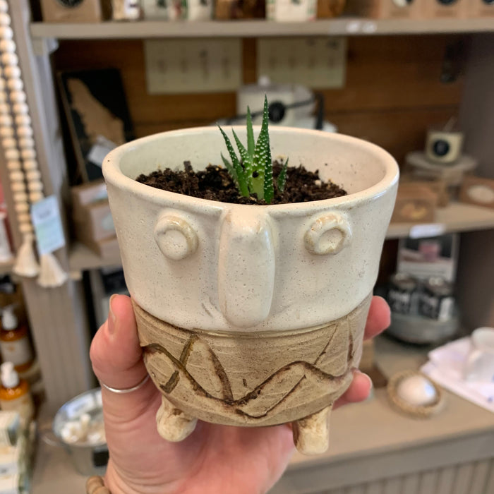 Plant pot  Local Pottery