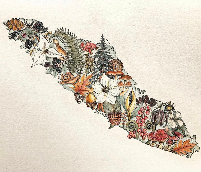 Flora Vancouver Island Print
