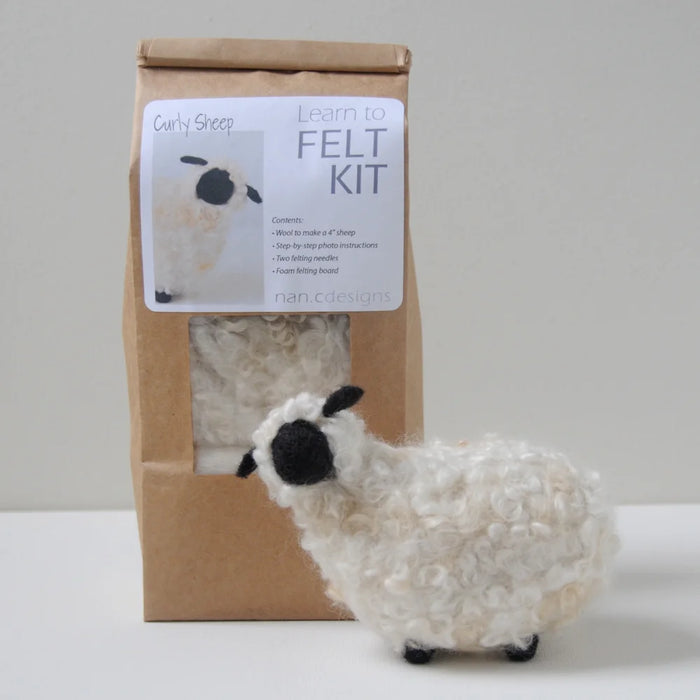 Learn to Felt Kit